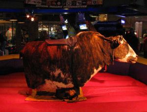 mechanical bull