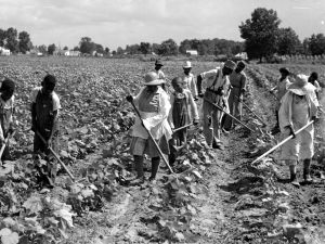 African-American Workers
