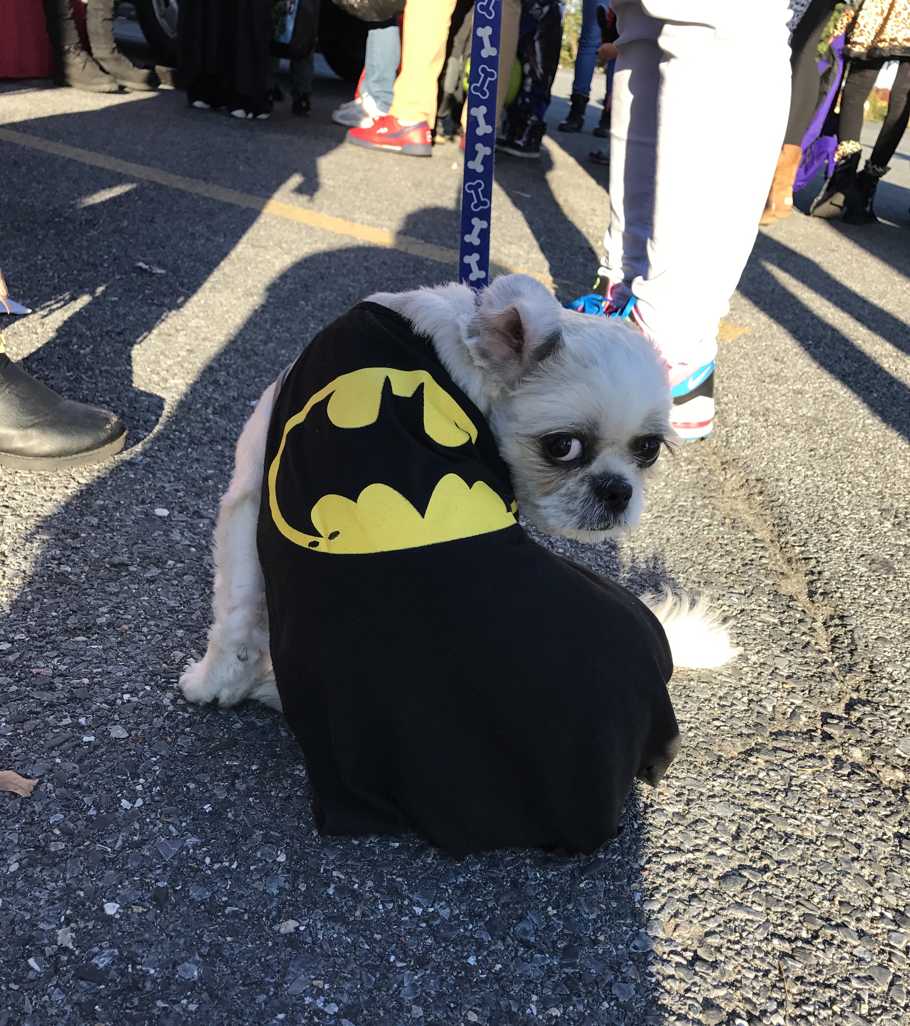 Trick or Treat at 92Q Halloween 2017