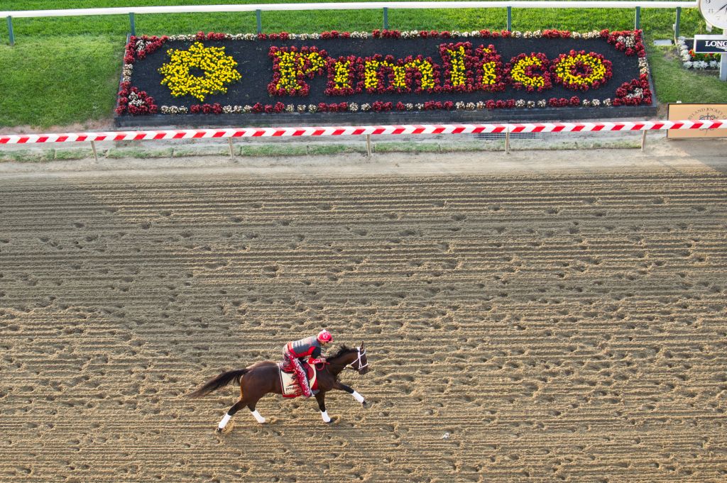 The 143rd Preakness Stakes-Previews