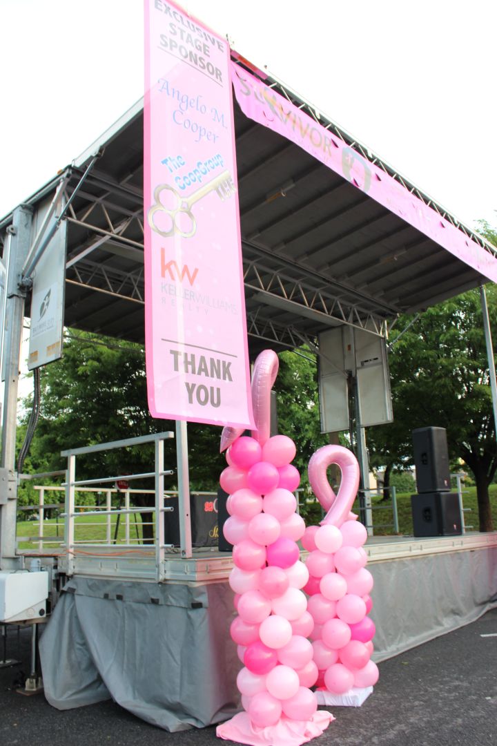 Survivor Soul Stroll Set-Up