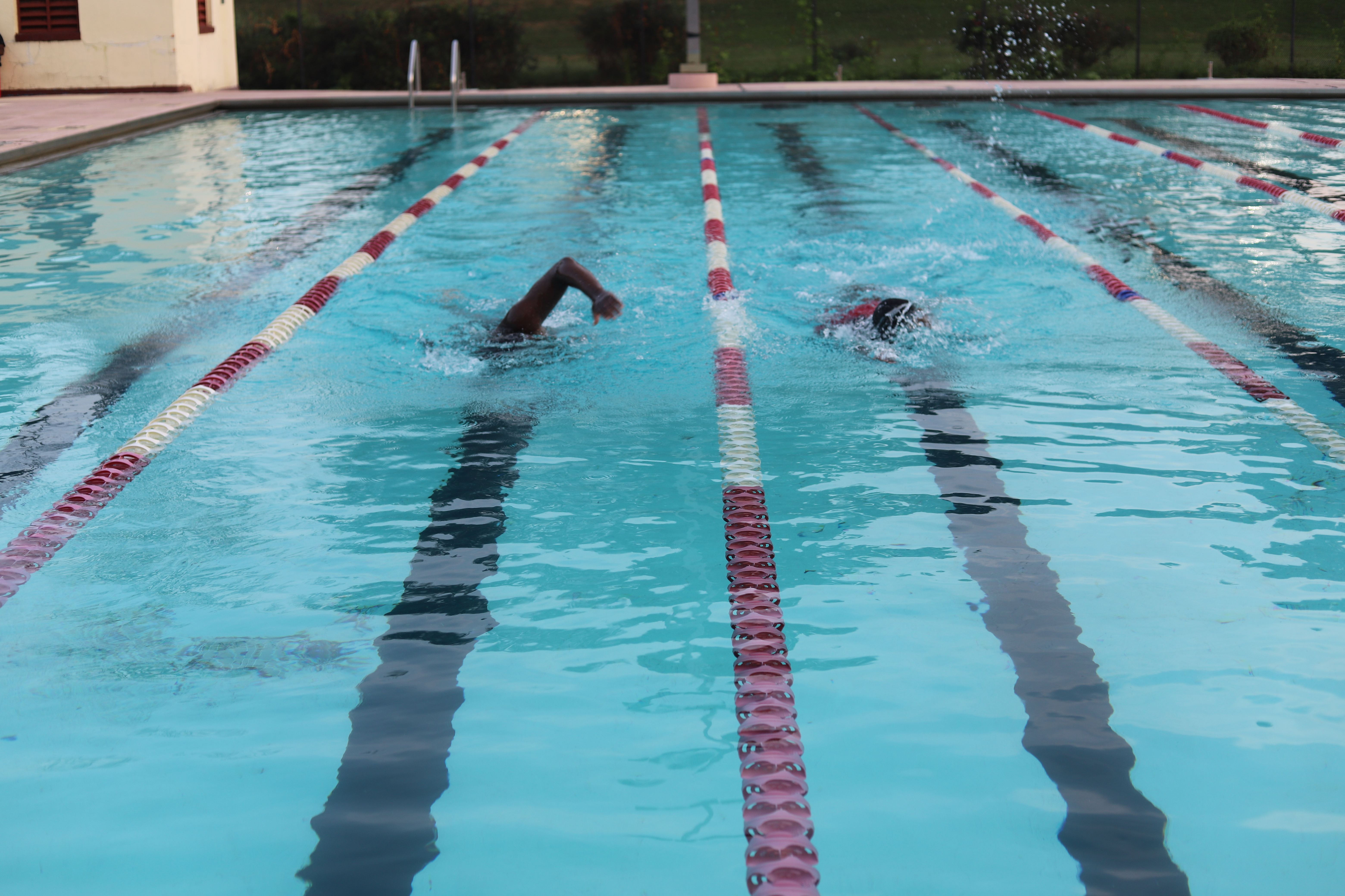 Animal House Pool Party
