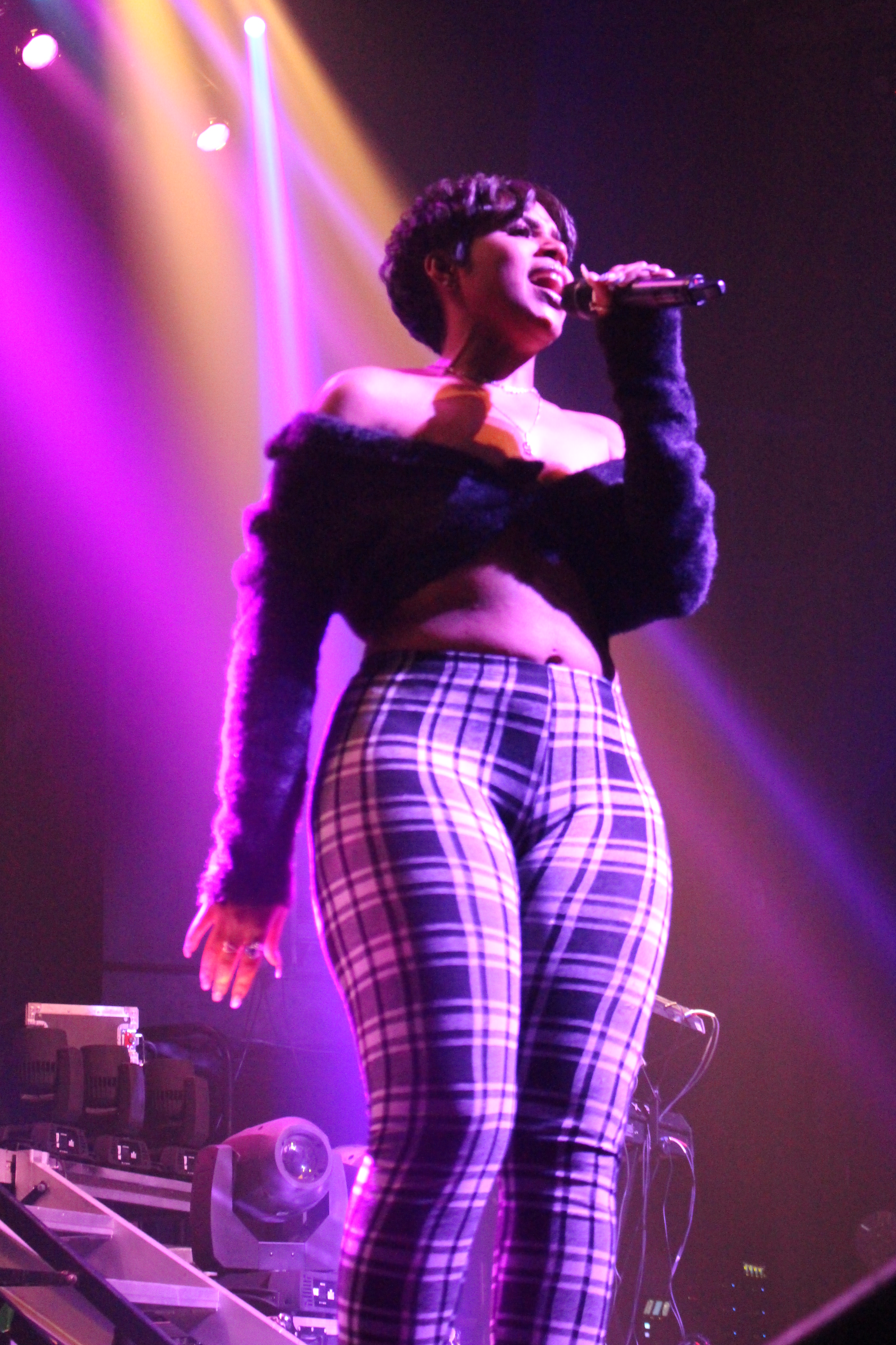 K. Michelle's Over Some D*** Tour