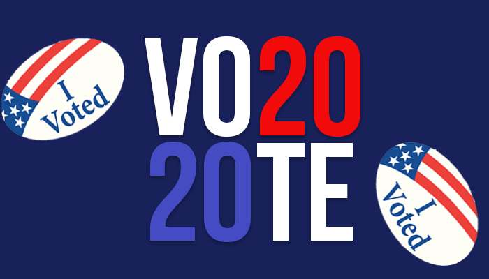Vote 2020 Graphic
