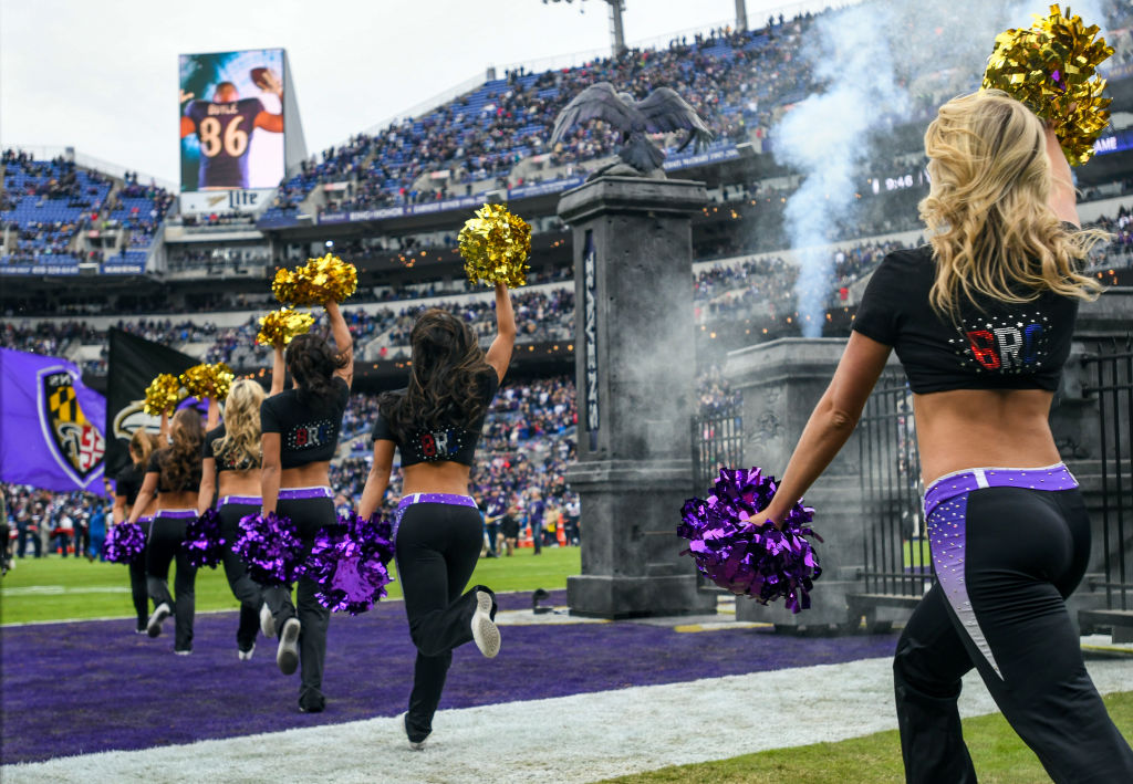 NFL: NOV 17 Texans at Ravens