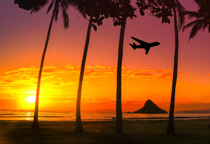 Travel to Oahu with palm trees in background