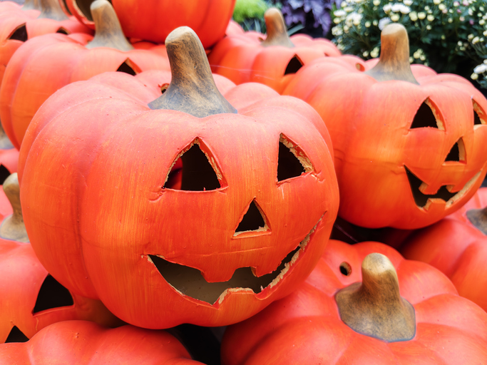 Halloween Pumpkins Decorated for Festive Celebrations