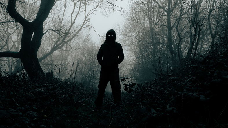 A threatening supernatural figure with glowing eyes, Silhouetted on a spooky foggy winters day in a forest